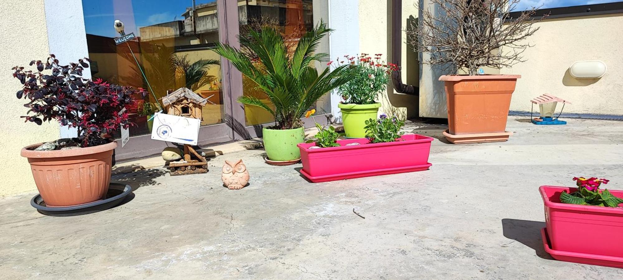 كاتانزارو B&B Gioia المظهر الخارجي الصورة