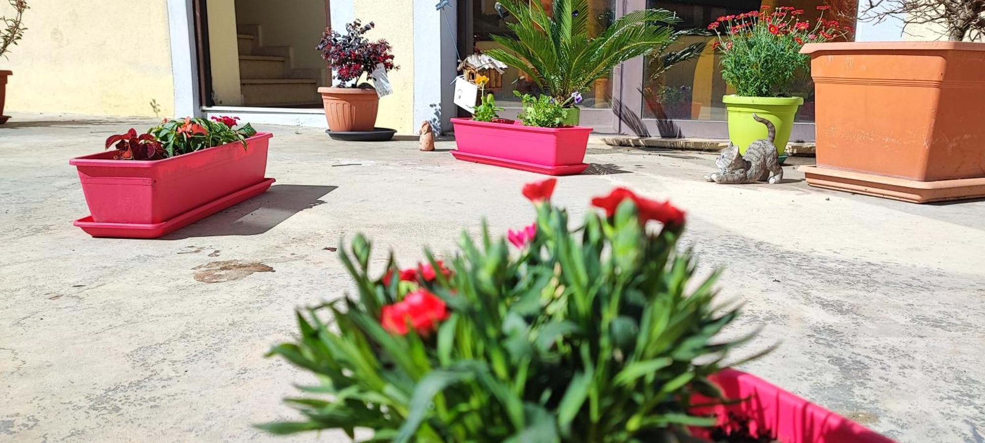كاتانزارو B&B Gioia المظهر الخارجي الصورة